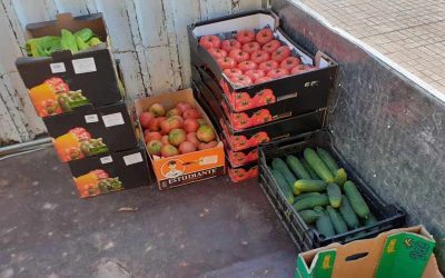 FRUTAS Y VERDURAS DE LA SOLIDARIDAD